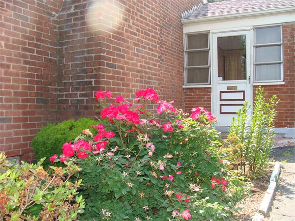 29 Whitmore Street Springfield, MA 01104 - Photo 8 of 30 Gallery Image 8