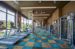 $1,910 | 5454 Washington Avenue, Unit 1403, Houston, TX 77007