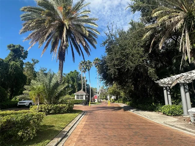 a view of a park with large trees