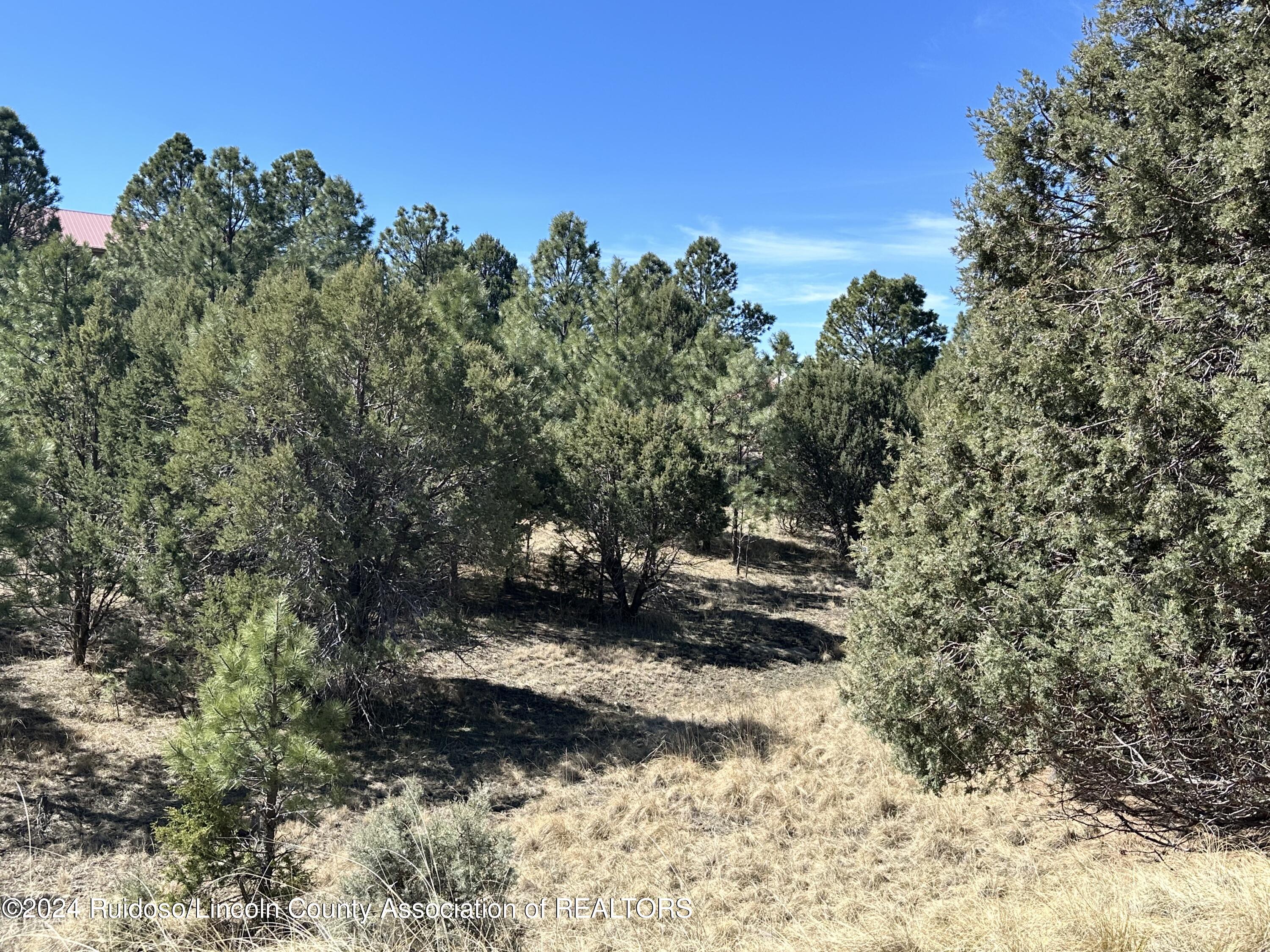 Lot 3 Eagle Ridge Road Ruidoso, NM 88345 - Photo 1 of 1 Lot 3 Eagle Ridge Rd