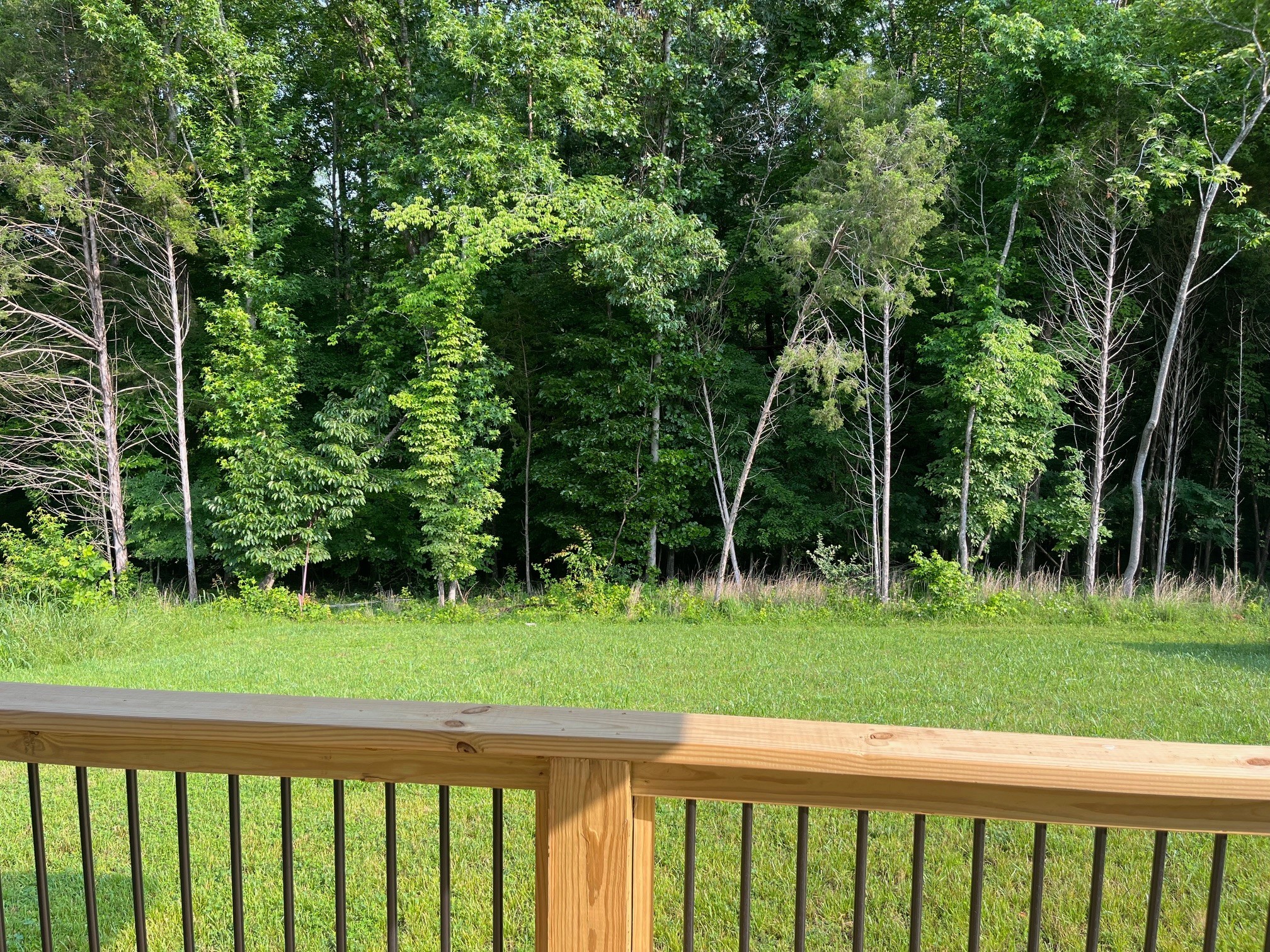 1243 Boulder Pass Road Clarksville, TN 37040 - Photo 29 of 31 Gallery Image 29
