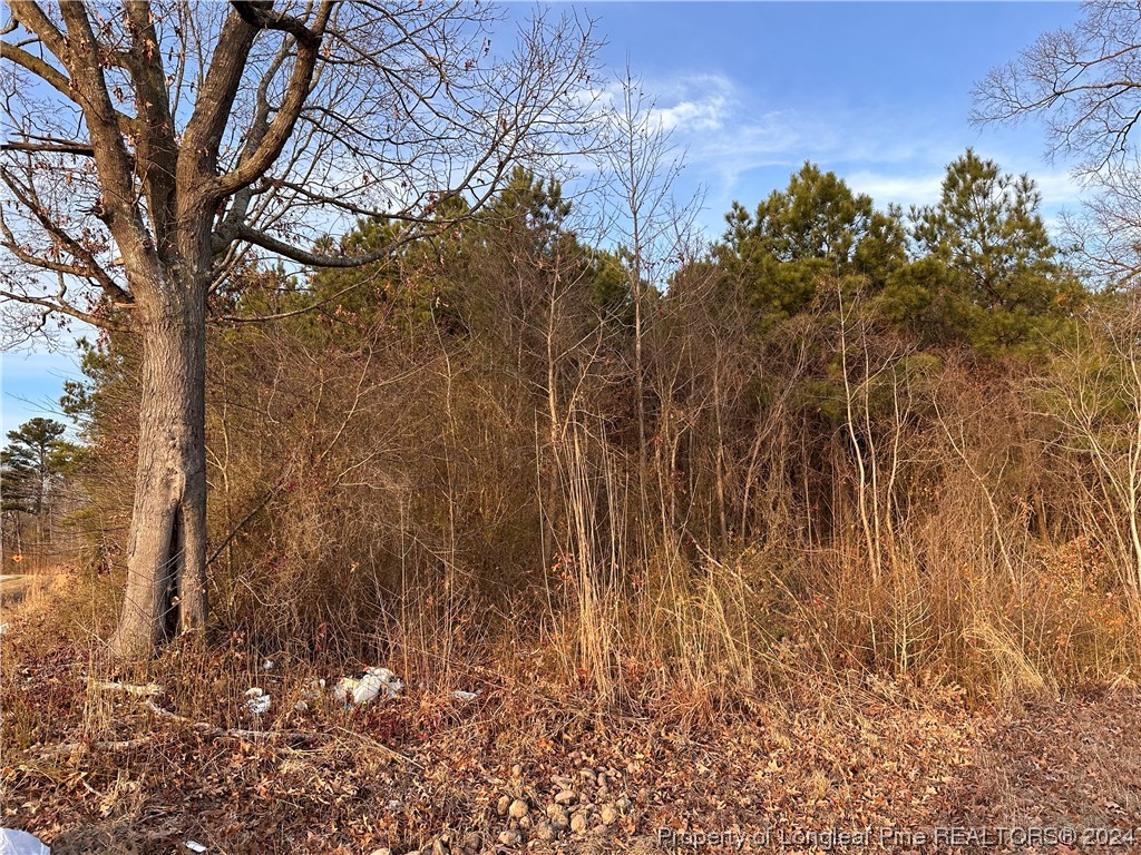 Lot 4 Midway Road Maxton, NC 28364 - Photo 2 of 4 Gallery Image 2