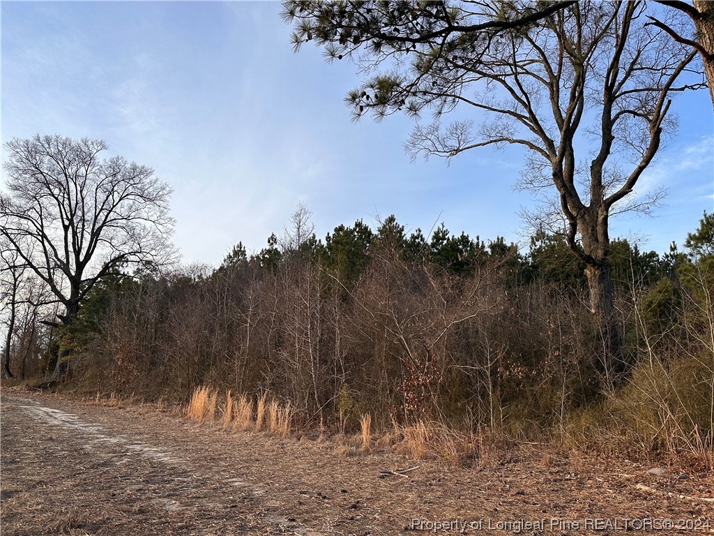 Lot 4 Midway Road Maxton, NC 28364 - Photo 3 of 4 Gallery Image 3