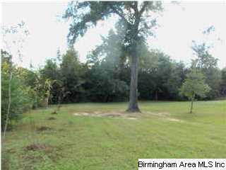 15041 Benevola Road Gordo, AL 35466 - Photo 18 of 21