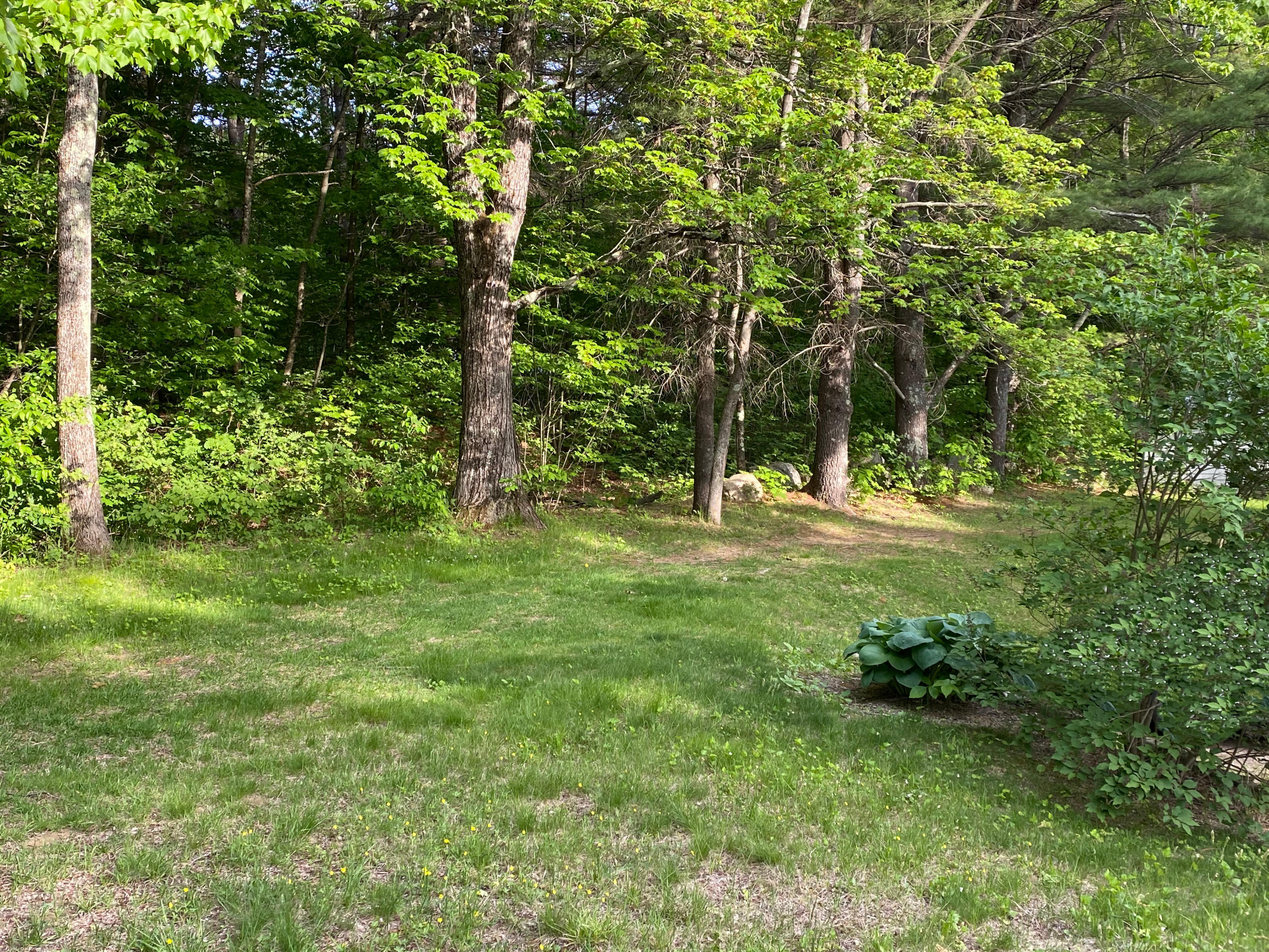2288 Hotel Road Auburn, ME 04210 - Photo 2 of 28 Driveway Yard