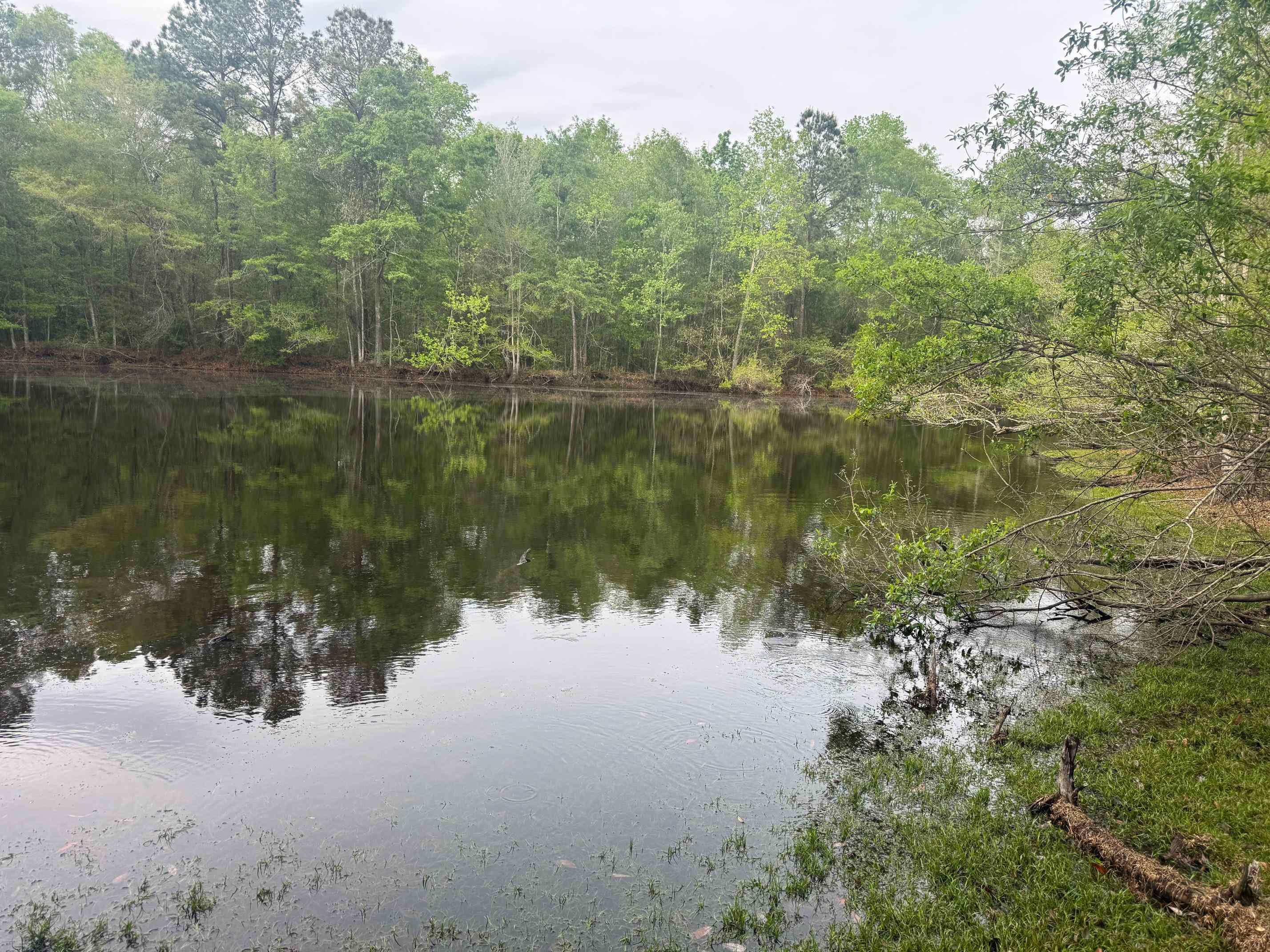 0 Co Road Andalusia, AL 36420 - Photo 28 of 34 Gallery Image 28