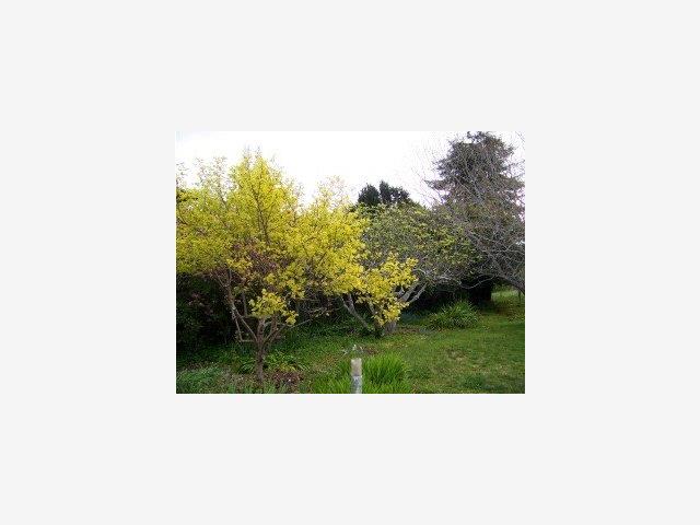 2730 Rosedale Avenue Soquel, CA 95073 - Photo 4 of 9 Gallery Image 4