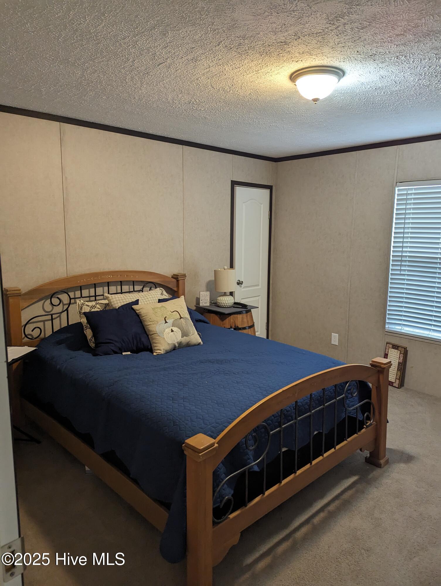 258 Bowen Road Harrells, NC 28444 - Photo 4 of 13 258 Bowen Road 2