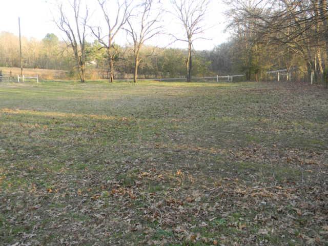 4805 Banner Adams Road College Grove, TN 37046 - Photo 12 of 20 This field is part of the road frontage and the creek runs on the left side of the field if you are standing at the road.