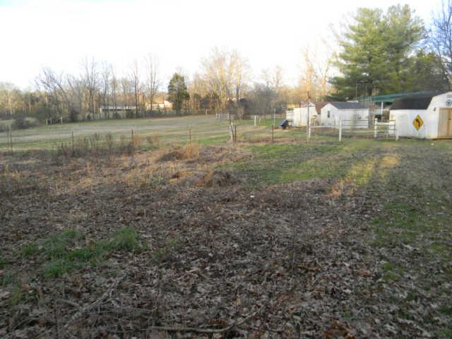 4805 Banner Adams Road College Grove, TN 37046 - Photo 10 of 20 Another view of the fenced pasture area behind the home.