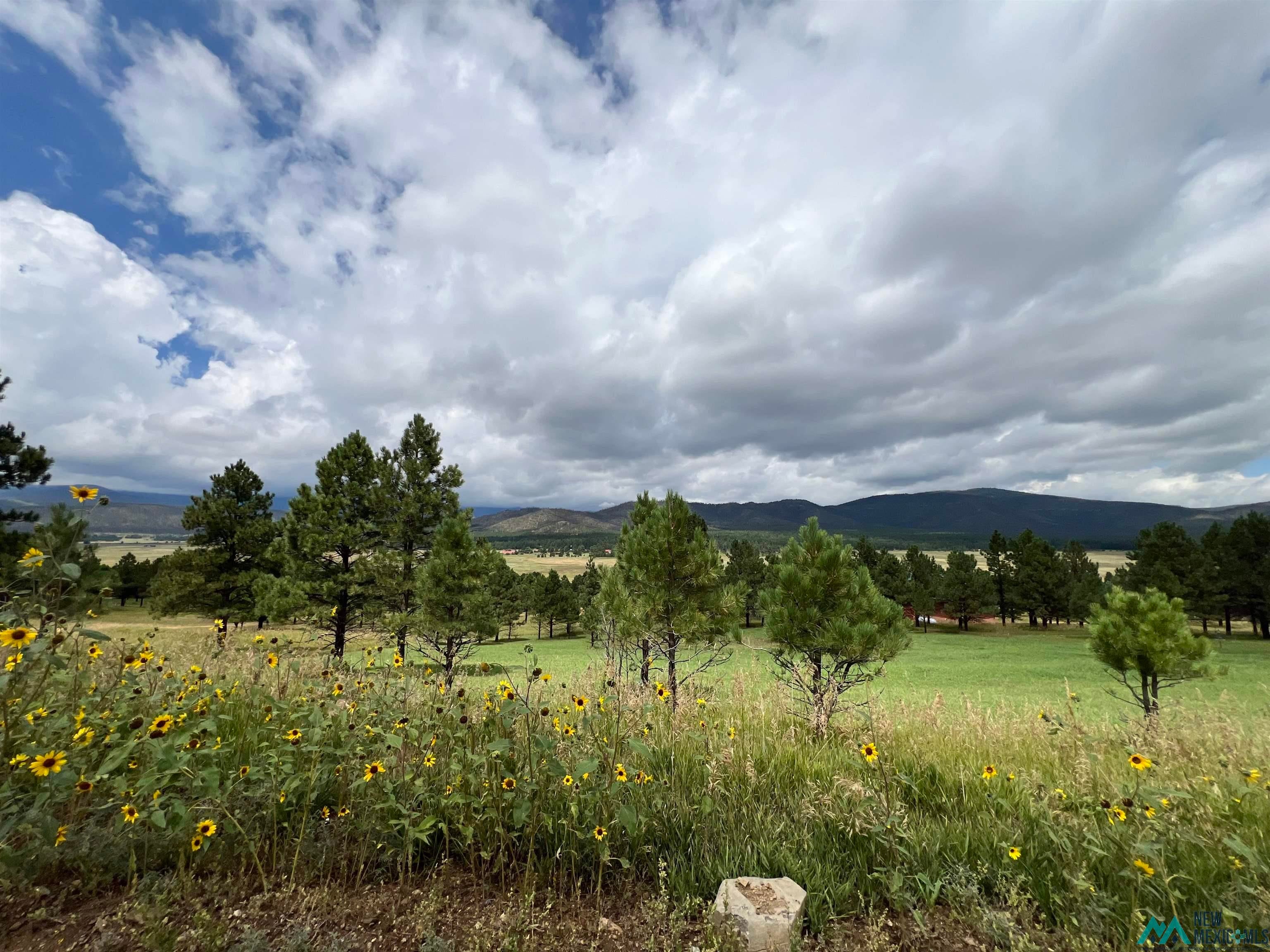 137 Canuto And Consuelo Rociada, NM 87742 - Photo 1 of 1 View of mountain backdrop with rural landscape