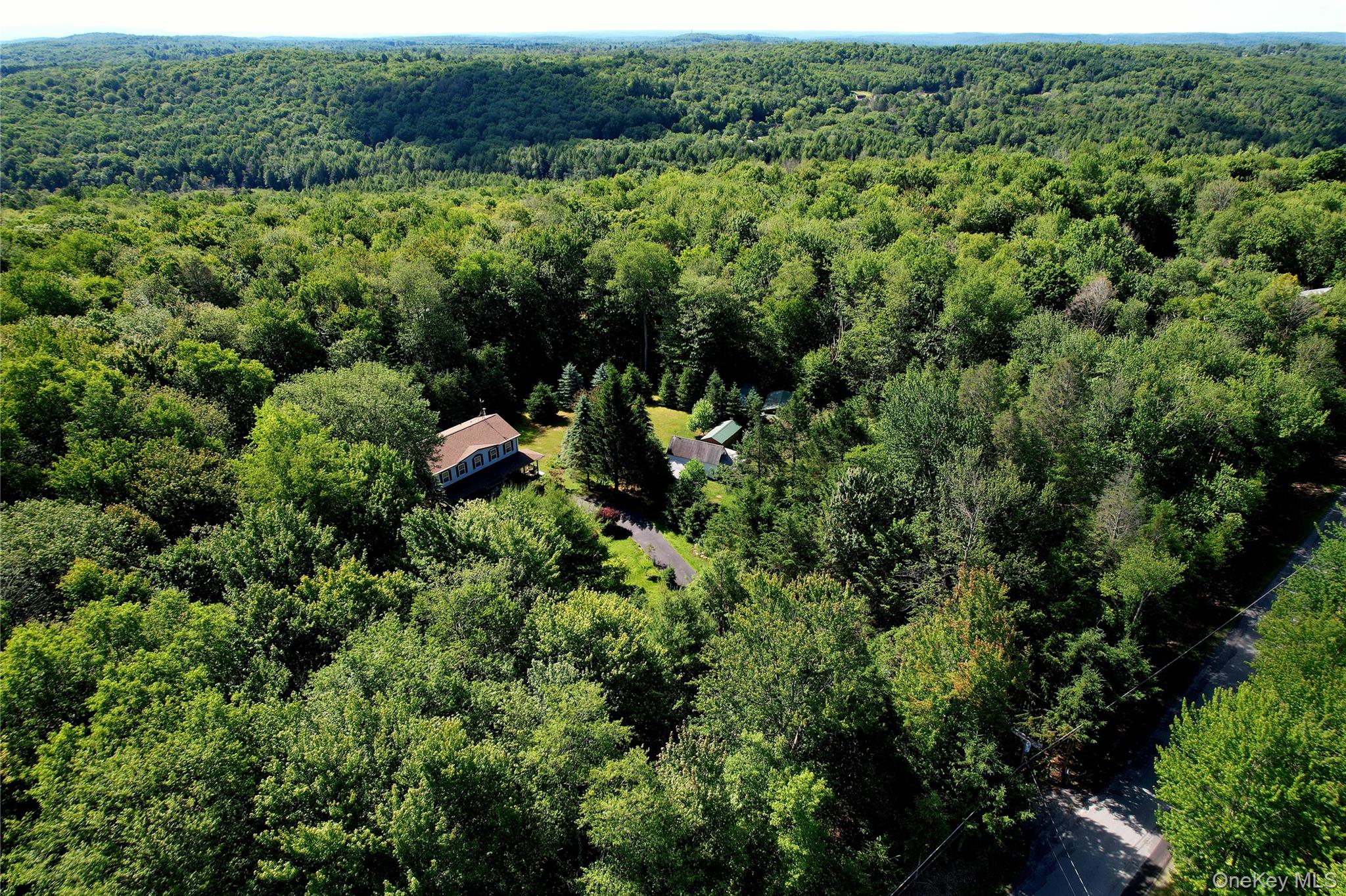 239 Burnt Ridge Road Liberty, NY 12754 - Photo 5 of 50