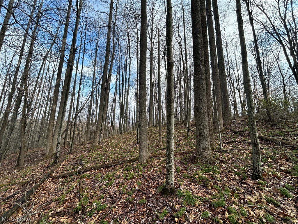 Wilbur Bush Road Crooksville, OH 43731 - Photo 17 of 19