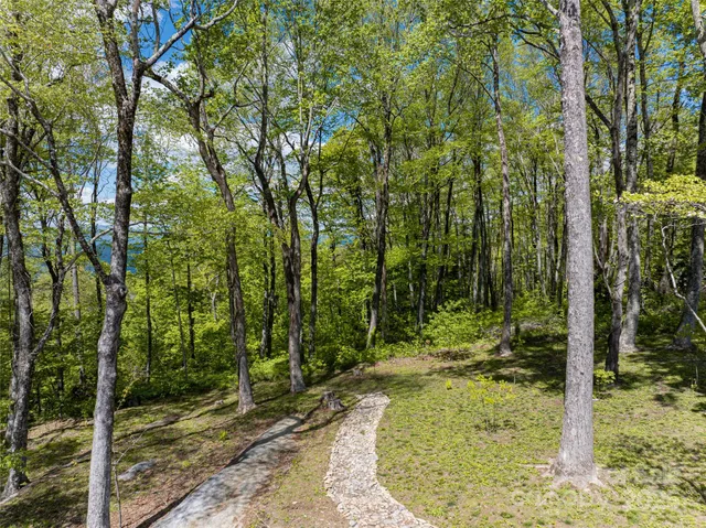 a view of a yard with large trees