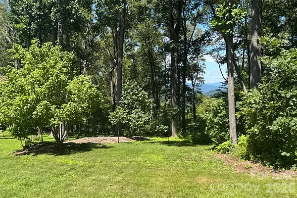 a view of green field with trees in the background