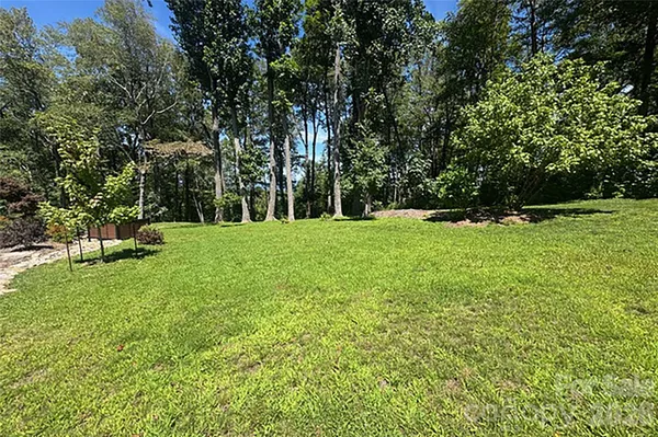 a view of a park with a large trees