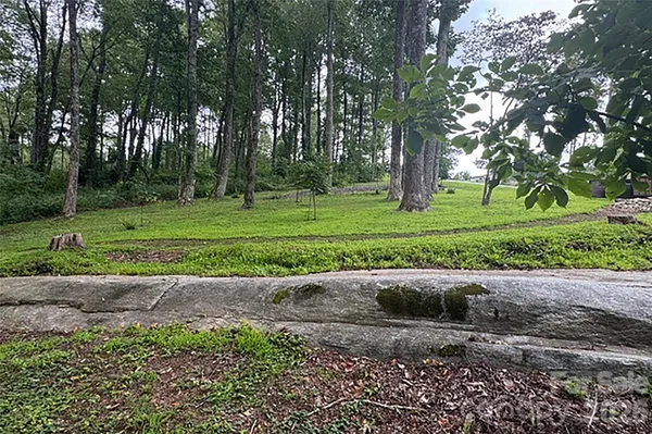 a view of a garden with plants and trees
