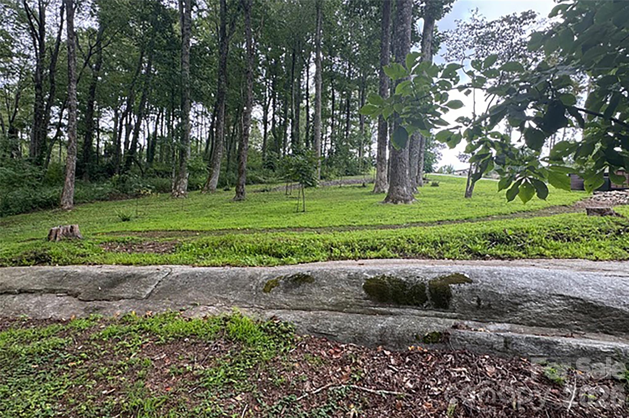 0 Laurel Ledge Way, Unit 23 Fletcher, NC 28732 - Photo 14 of 24 a view of a park with a large trees
