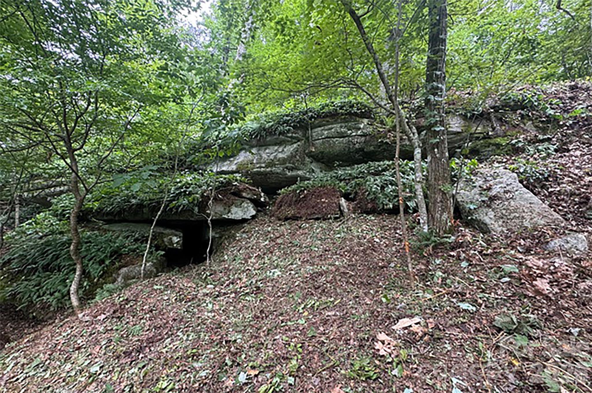 0 Laurel Ledge Way, Unit 23 Fletcher, NC 28732 - Photo 17 of 24 a backyard of a house with lots of green space