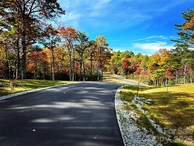 a backyard of a house with large trees