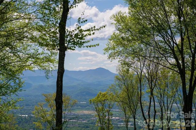 a view of a yard in front of the house