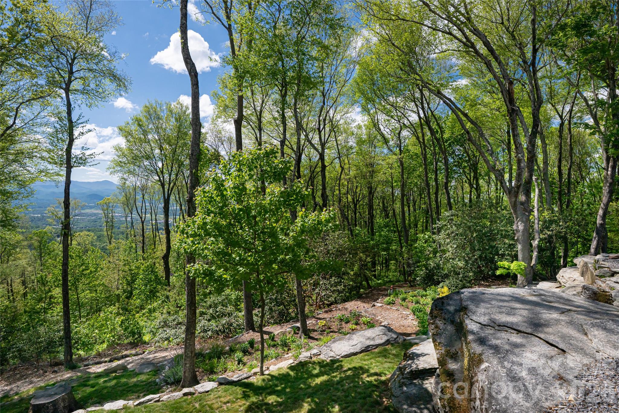 0 Laurel Ledge Way, Unit 23 Fletcher, NC 28732 - Photo 2 of 24 a view of backyard with green space