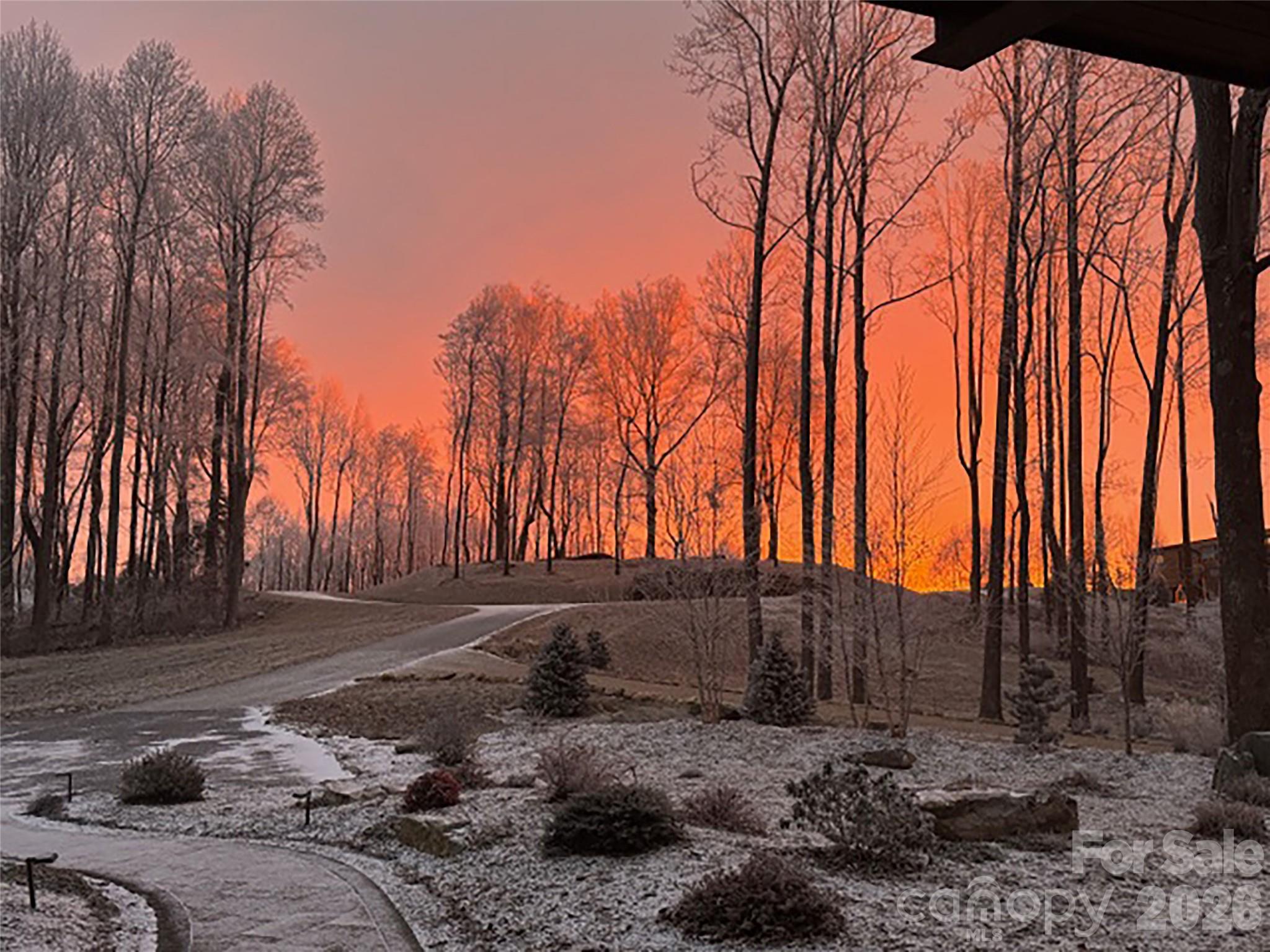 0 Laurel Ledge Way, Unit 23 Fletcher, NC 28732 - Photo 5 of 24 a backyard of a house with large trees