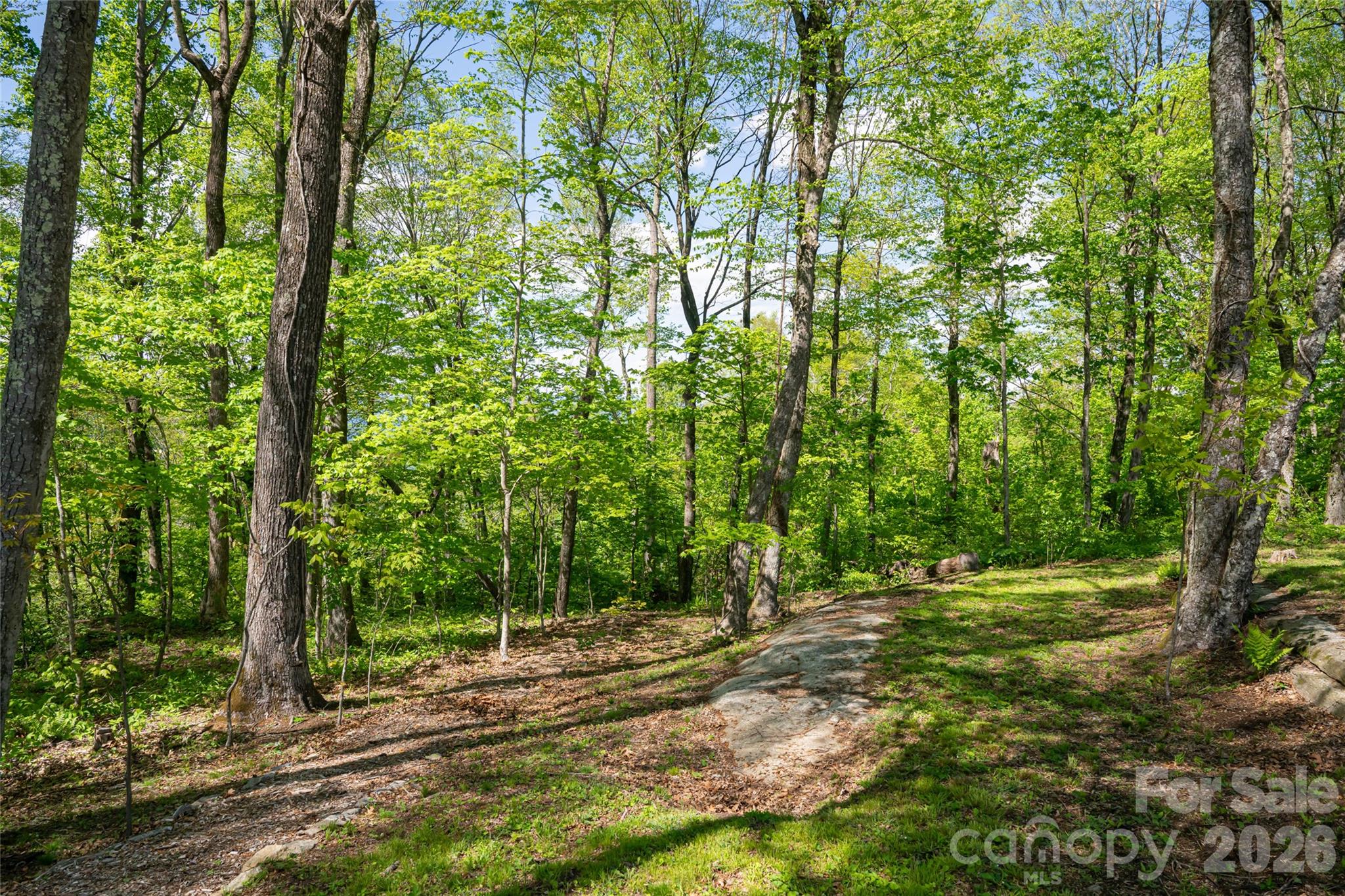 0 Laurel Ledge Way, Unit 23 Fletcher, NC 28732 - Photo 6 of 24