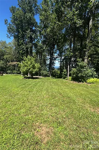 a view of green field with trees in the background