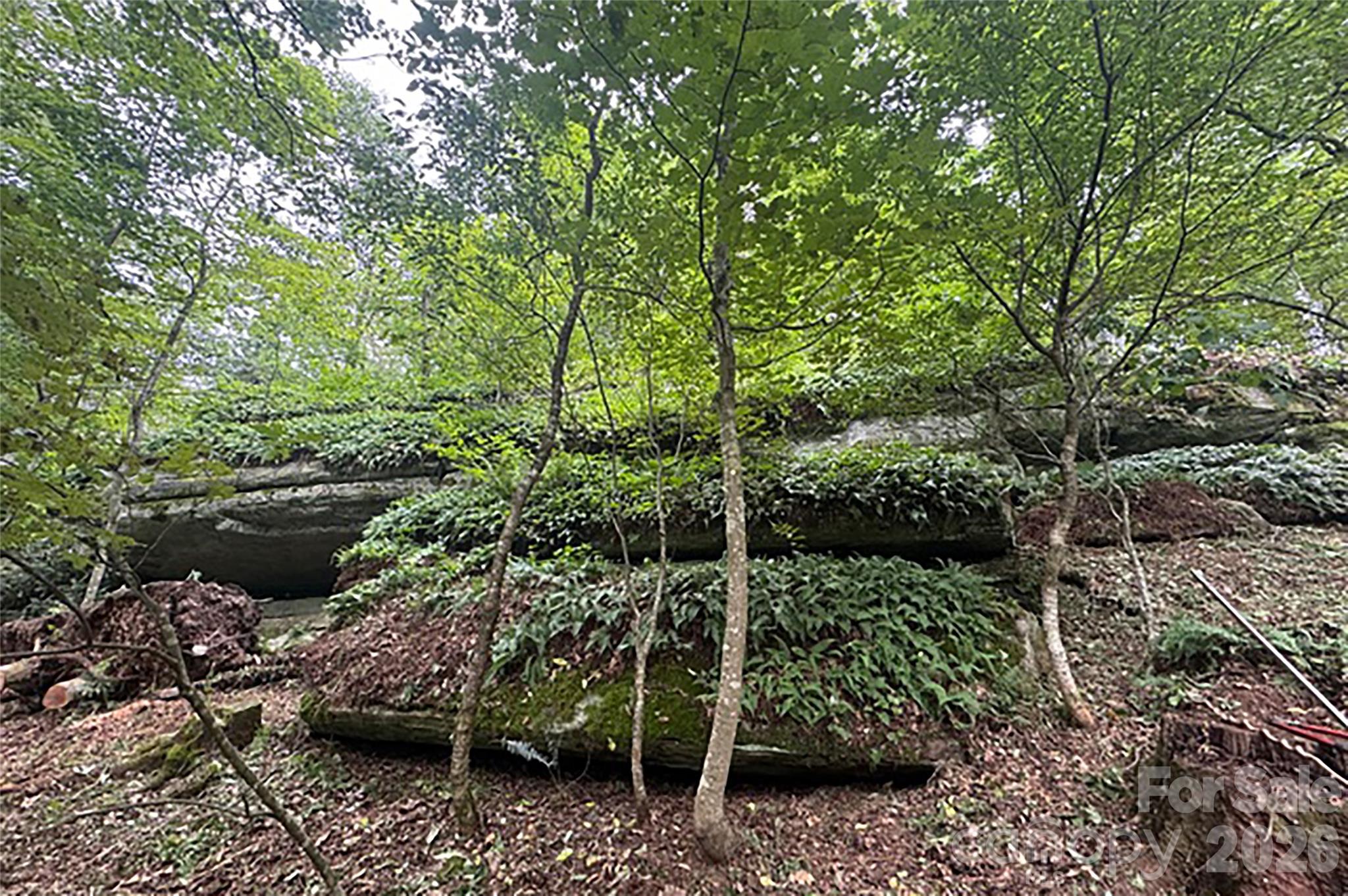 0 Laurel Ledge Way, Unit 23 Fletcher, NC 28732 - Photo 10 of 24 a garden with lots of trees