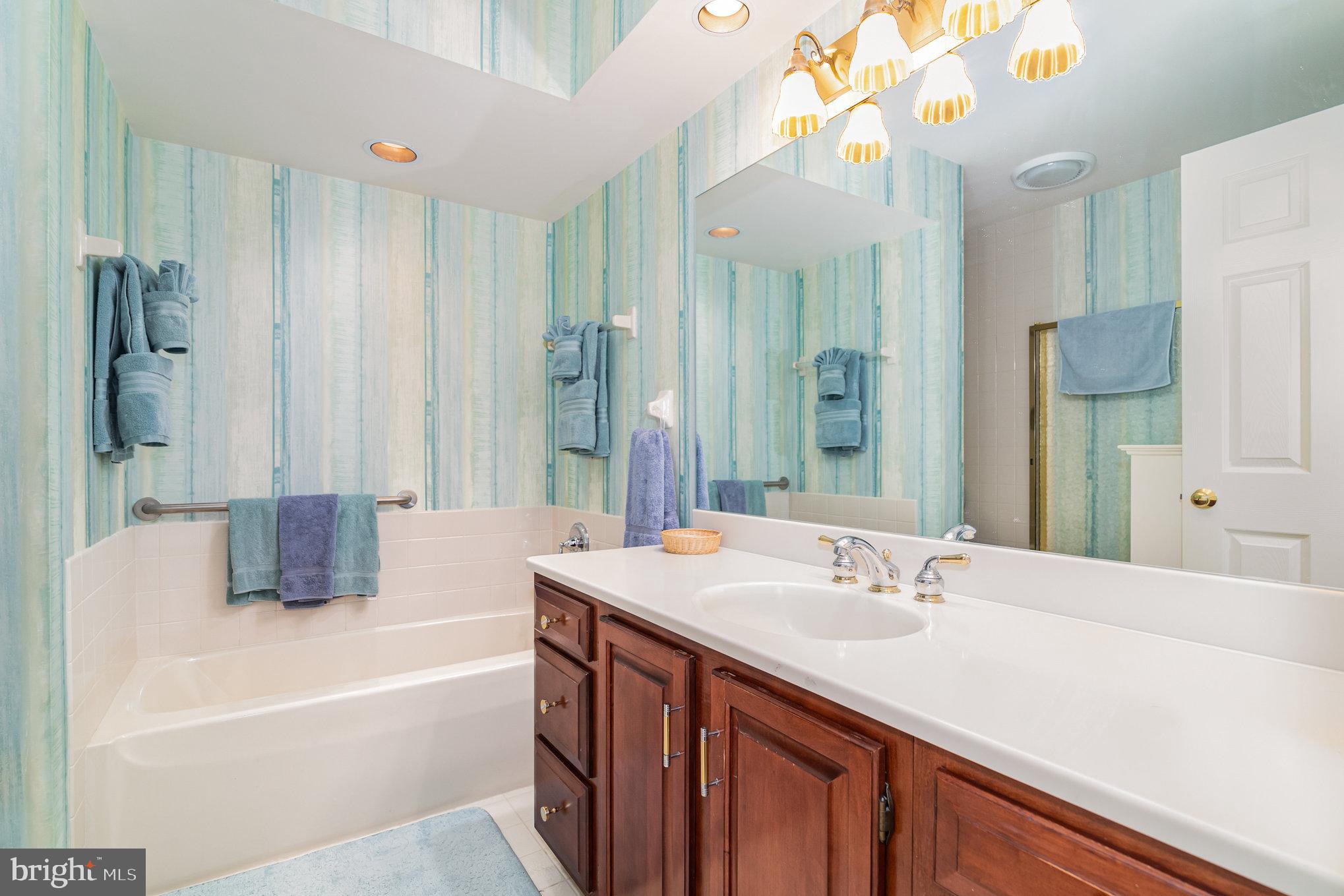 17 Leearden Road Hershey, PA 17033 - Photo 16 of 36 a bathroom with a tub a sink and a large mirror