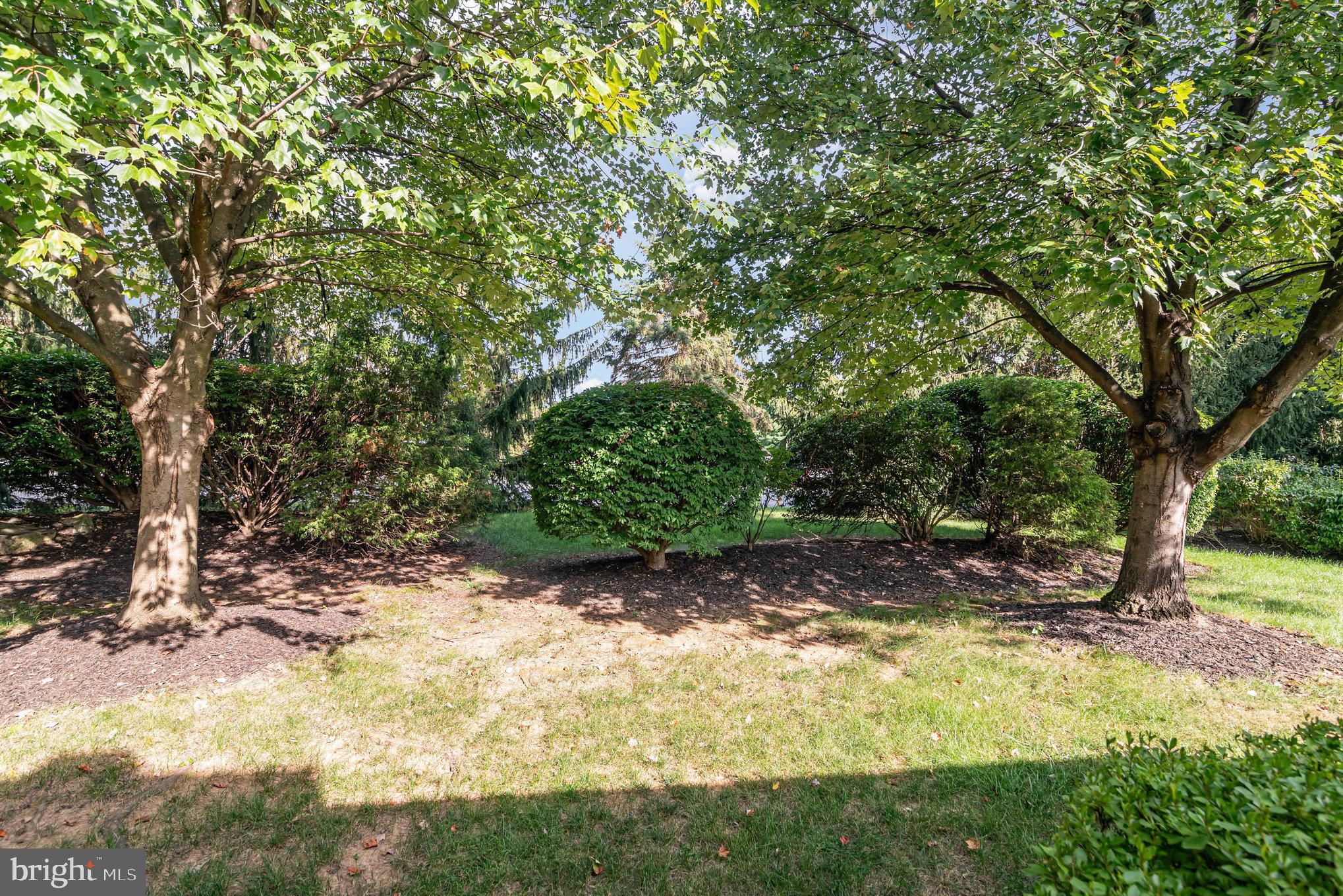 17 Leearden Road Hershey, PA 17033 - Photo 35 of 36 a view of a yard with plants and trees
