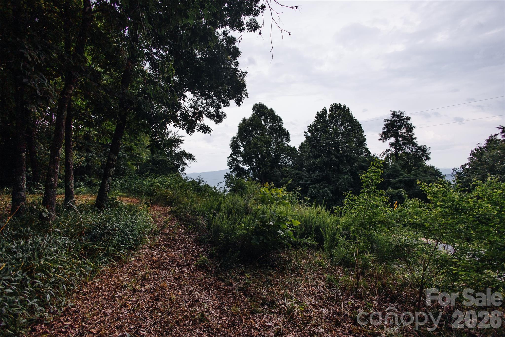 200 Osborn Knob Road Marion, NC 28752 - Photo 5 of 21
