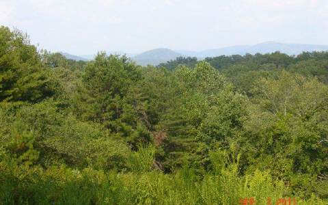 Lot 8 Chinquapin Road Ellijay, GA 30536 - Photo 1 of 1 Main View