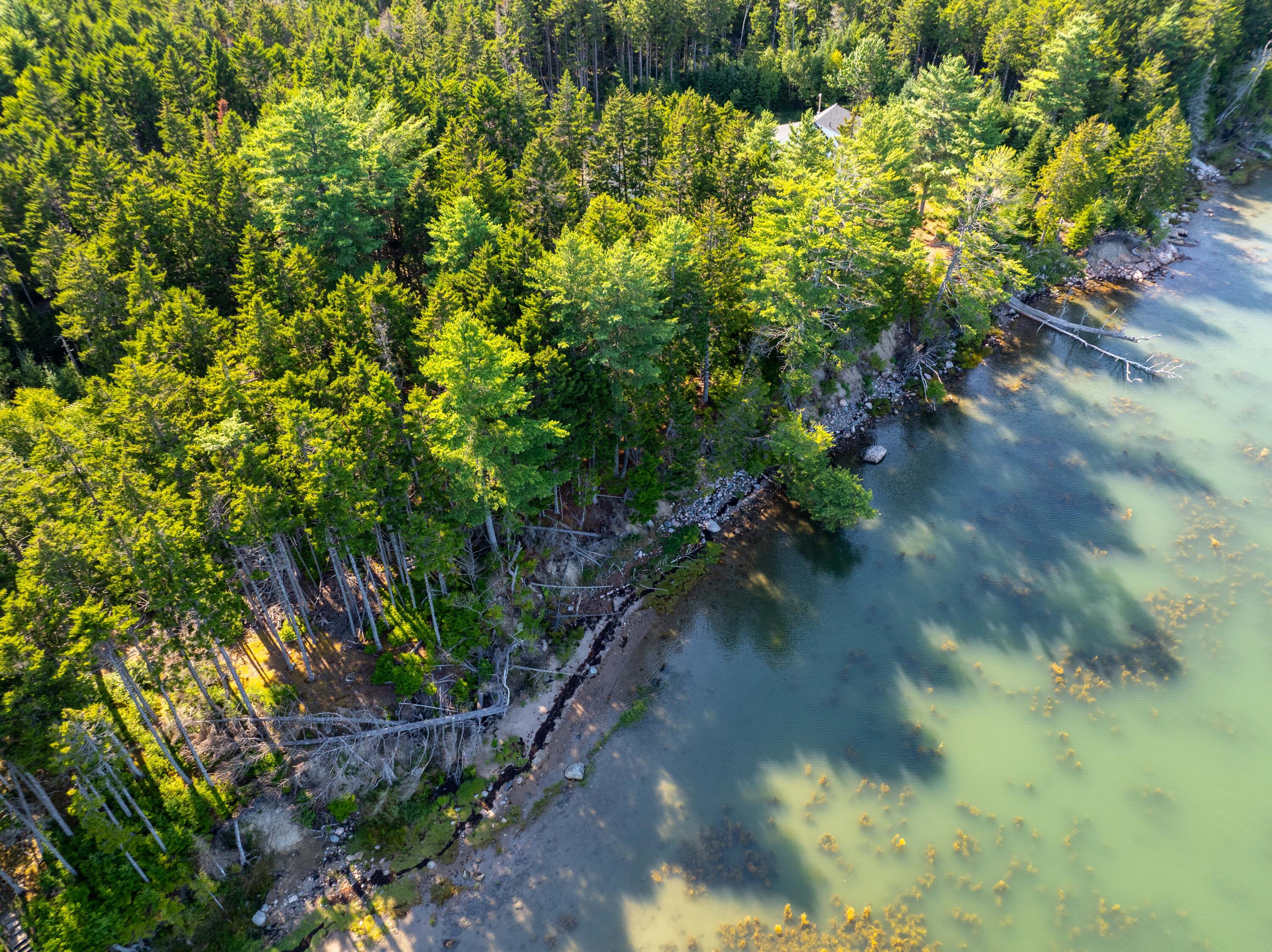 M57-l20 Paul Bunyan Road Corea, ME 04624 - Photo 3 of 25 Shoreline