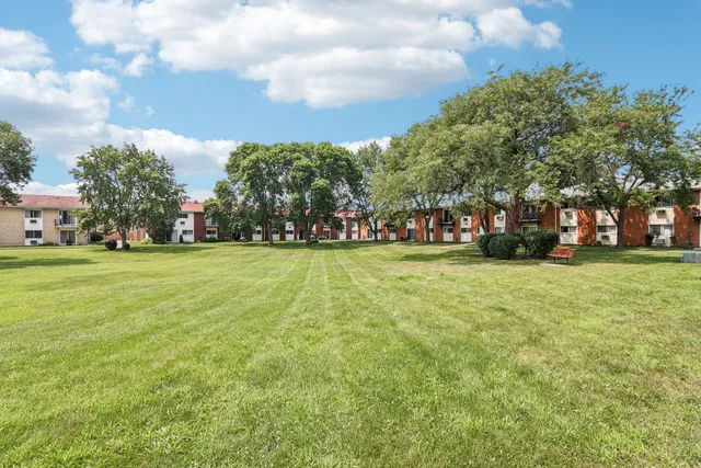 a view of a park with large trees