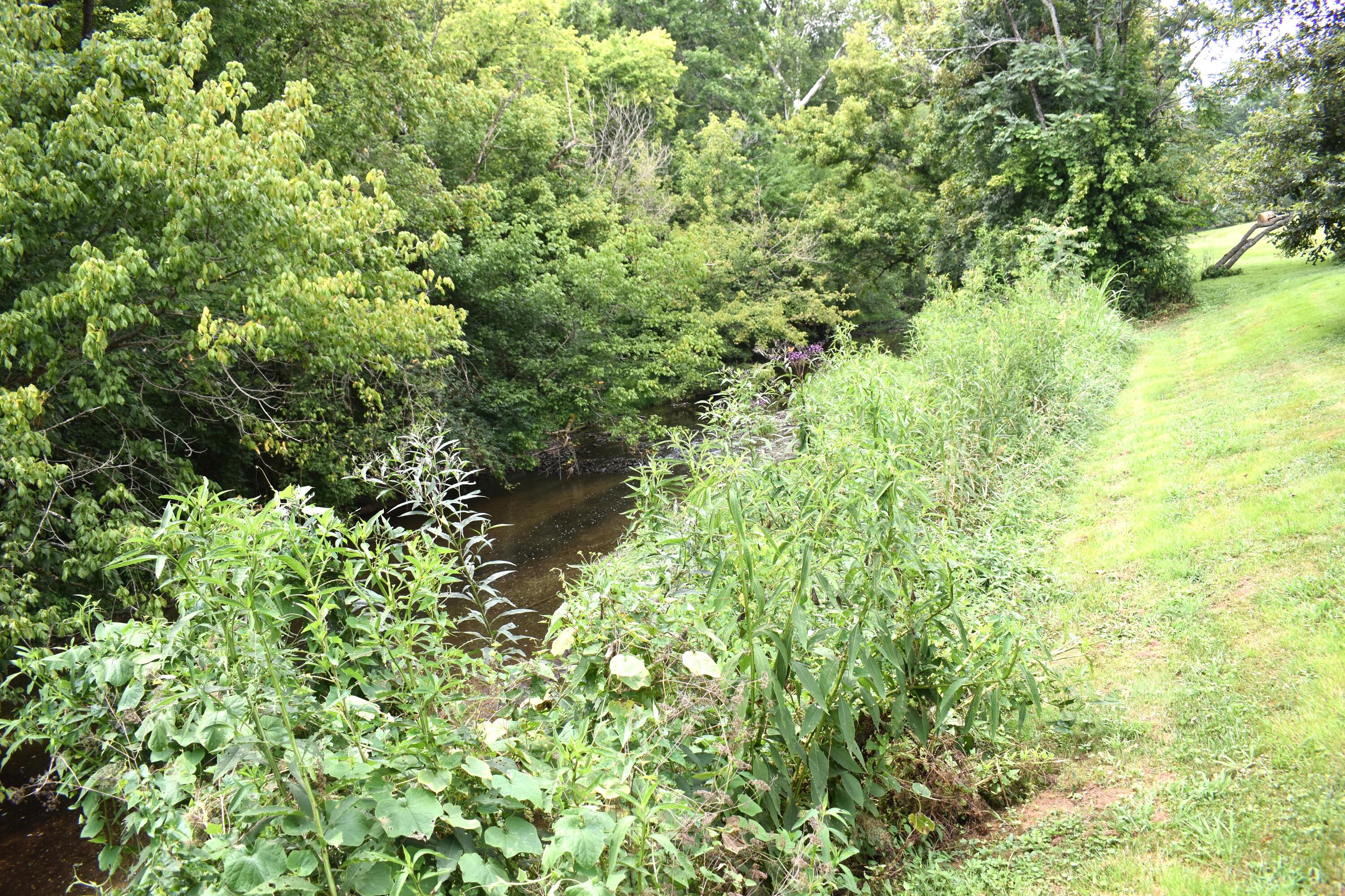 5591 Tates Creek Road Nicholasville, KY 40356 - Photo 24 of 69 DSC_0602