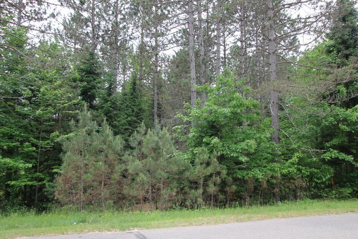 On Dyer Road, Unit LOT 15 Eagle River, WI 54521 - Photo 5 of 7 Gallery Image 5
