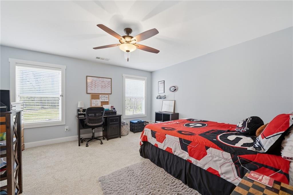 235 Old Canton Road Ball Ground, GA 30107 - Photo 47 of 75