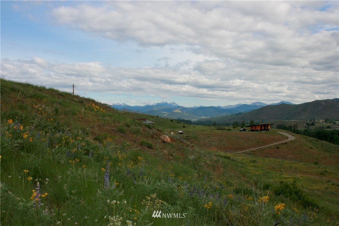 1-2 Signal Hill Road Twisp, WA 98856 - Photo 16 of 20 Gallery Image 16