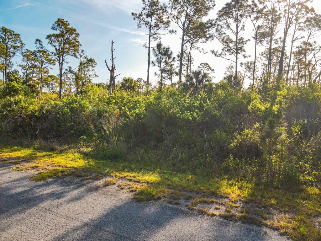 Blueleaf Dr Port North Port, FL 34288 - Photo 2 of 16 a view of back yard of a house