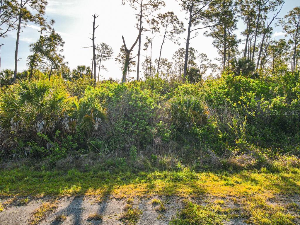 Blueleaf Dr Port North Port, FL 34288 - Photo 3 of 16 a view of lake