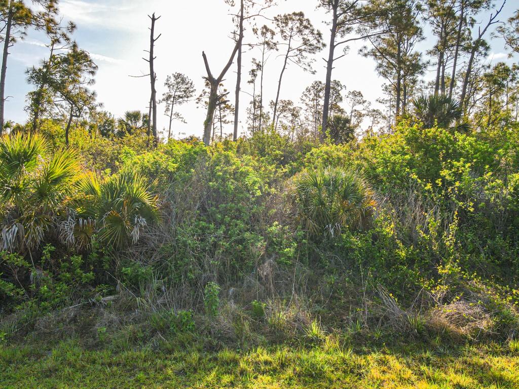 Blueleaf Dr Port North Port, FL 34288 - Photo 4 of 16 a view of a lake