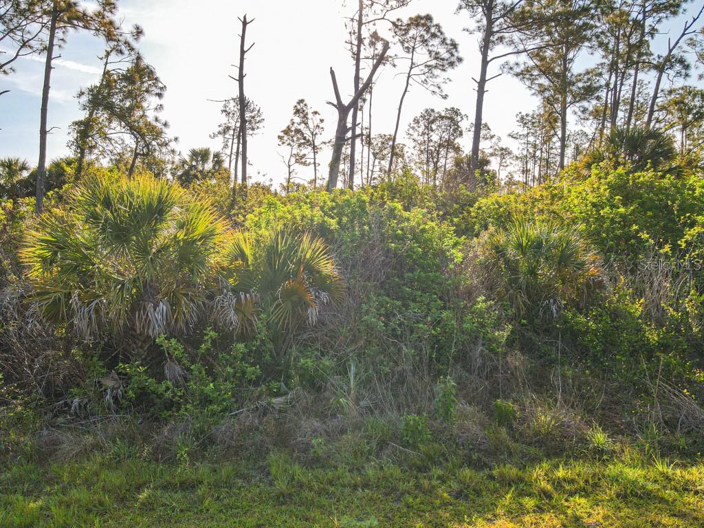 Blueleaf Dr Port North Port, FL 34288 - Photo 5 of 16 a view of yard