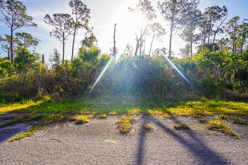 Blueleaf Dr Port North Port, FL 34288 - Photo 6 of 16 a backyard of a house with a yard and lake view
