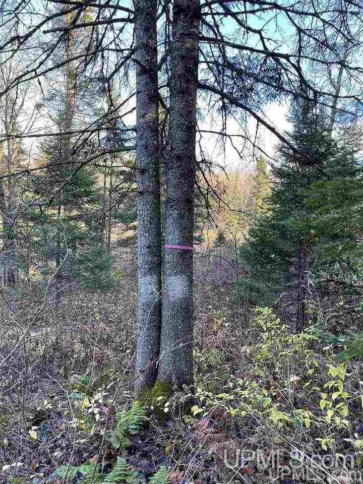 Tbd South Johnson Road Bessemer, MI 49911 - Photo 8 of 9