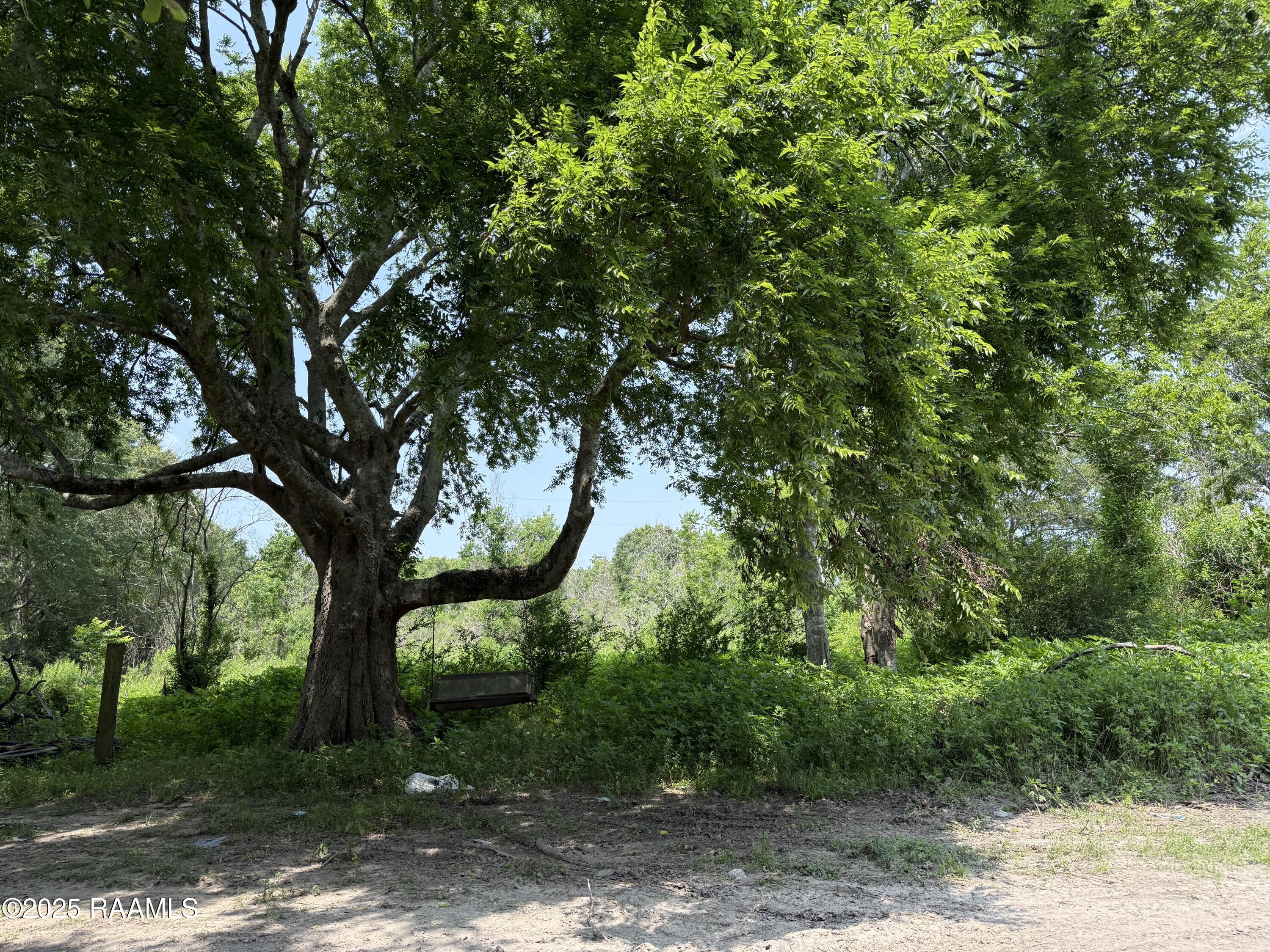 295 Jim Guillory Road Opelousas, LA 70570 - Photo 7 of 12 IMG_3960