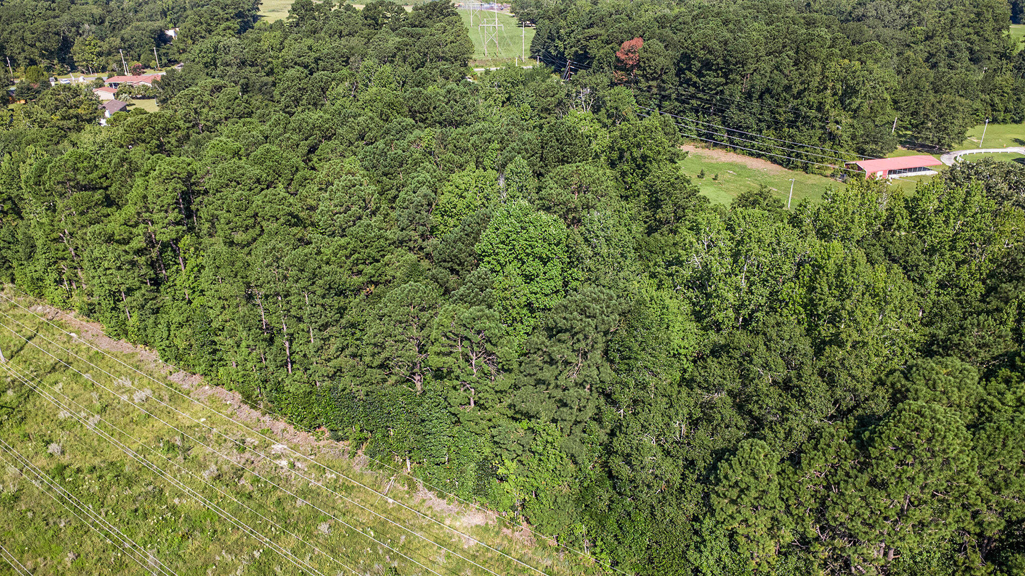 120 Nazareth Lane Moncks Corner, SC 29461 - Photo 4 of 12 004_file_80