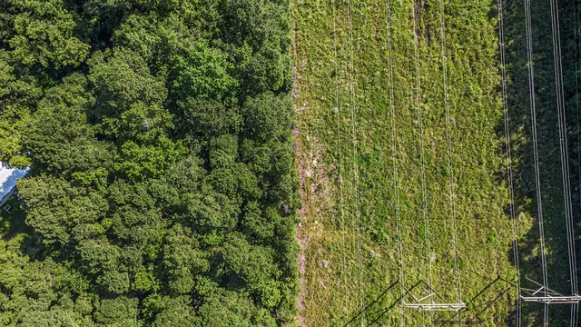 $95,000 | 120 Nazareth Lane, Moncks Corner, SC 29461