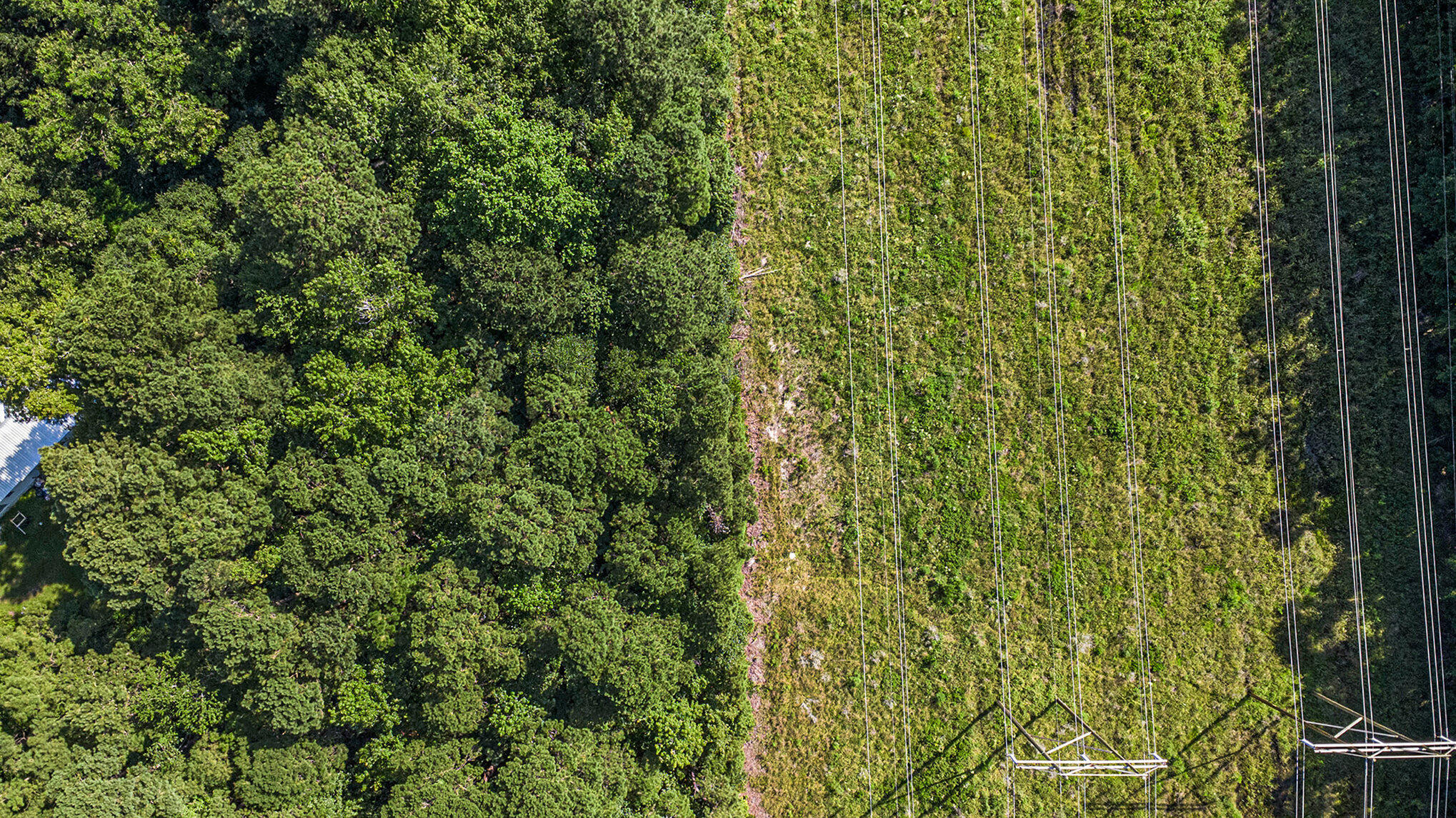 120 Nazareth Lane Moncks Corner, SC 29461 - Photo 9 of 12 009_file_478
